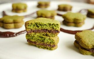 Sablés vert à la menthe fourrés chocolat site