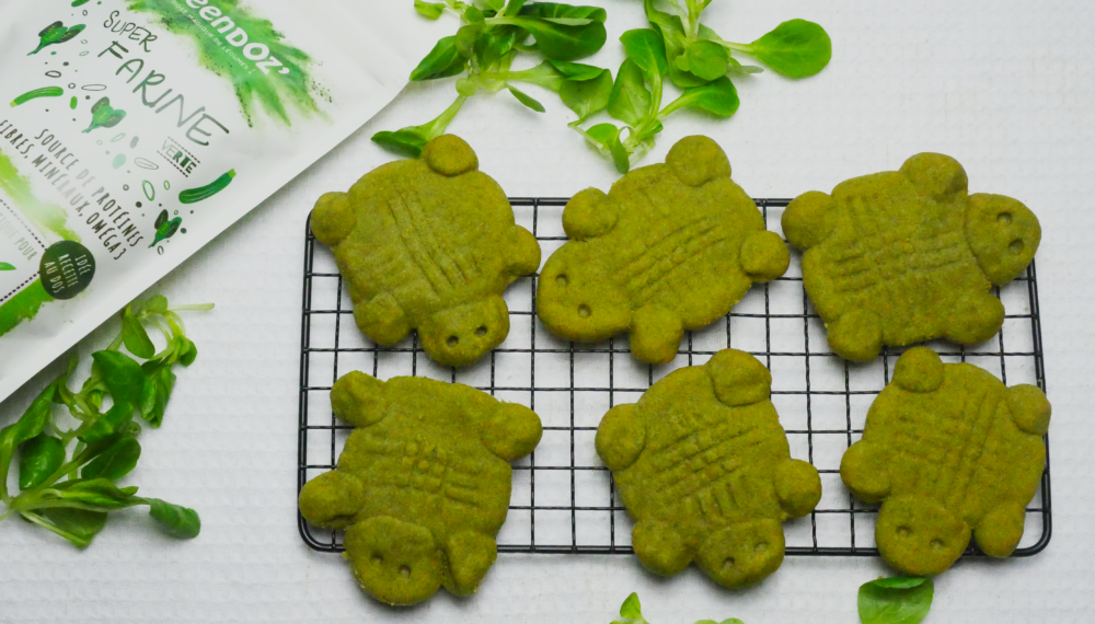 tortues_3 tortues_3
